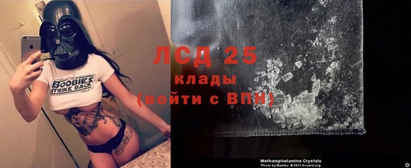 прущие грибы Алзамай