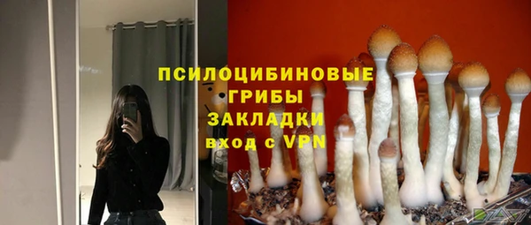 a pvp Арсеньев