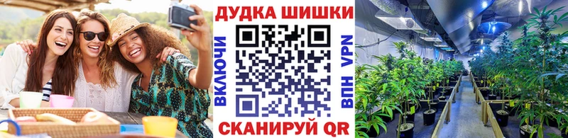 как найти   Кашира  Бошки Шишки LSD WEED 